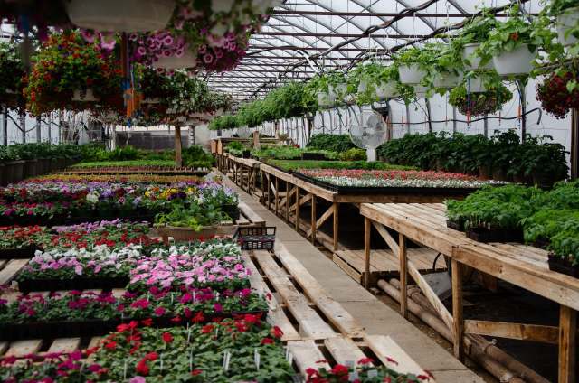 Virginia’s new invasive species bill is planting the seeds for a greener future.