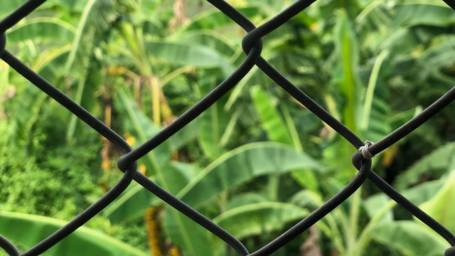 “Educating them might actually work.”