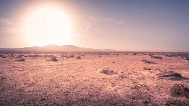 "Each year since 1980, [these] areas have spread by an additional fifty thousand square kilometers on average."