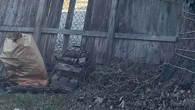 "Kill it with patience."