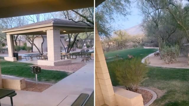 "You have to get out before the sun goes down."