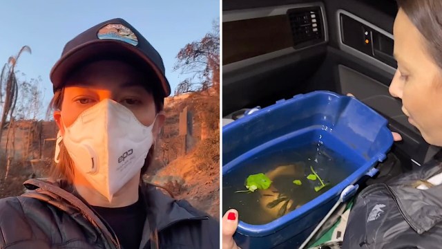 "It looks like a war zone in those areas, literally like a bomb just went off."