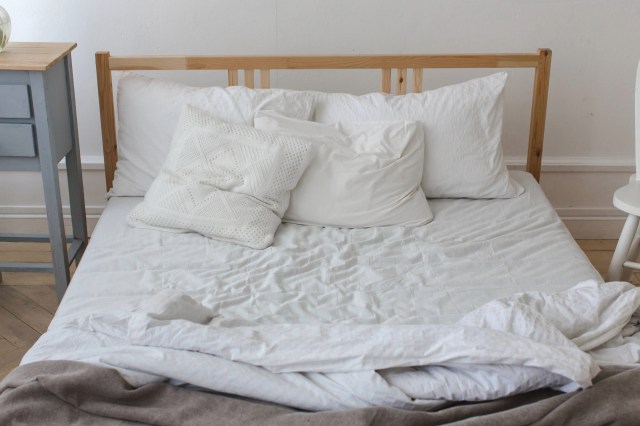 If you find an animal in your home, call a licensed wildlife rescue organization before you proceed.