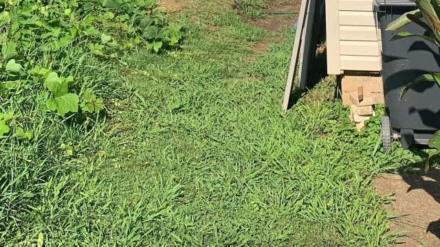 "Your yard is literally downhill from all of it."