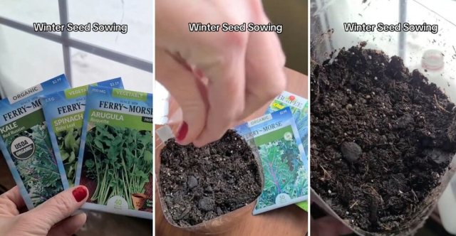 "First year giving this a try."