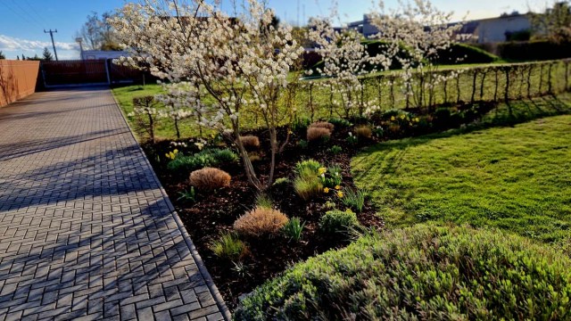 "Kindly let them know this is the plan."