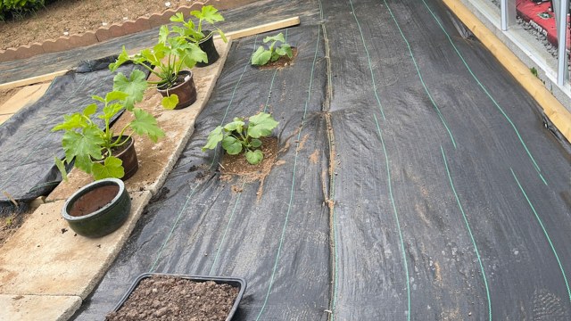 "That stuff is garbage and a pain."