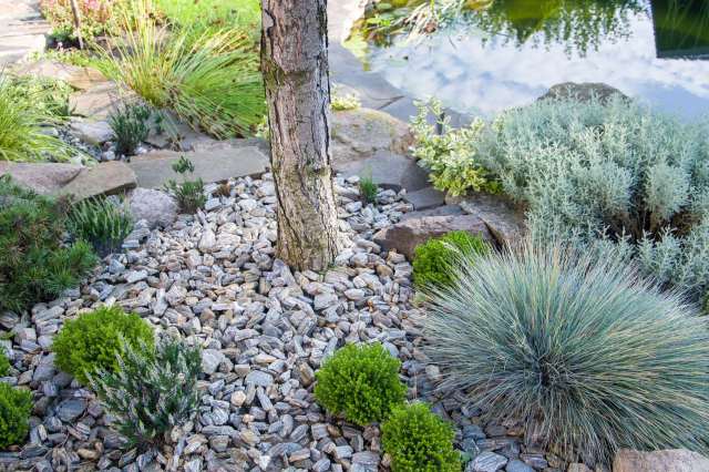 "Any advice is greatly appreciated."