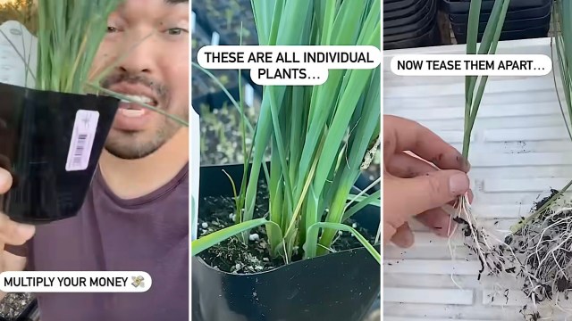 The creator demonstrates this hack during a trip to the nursery.