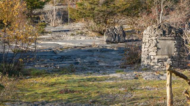 Stevens’ survey revealed some surprising results.