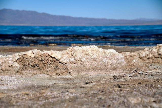 "In terms of innovations, we need all of them."