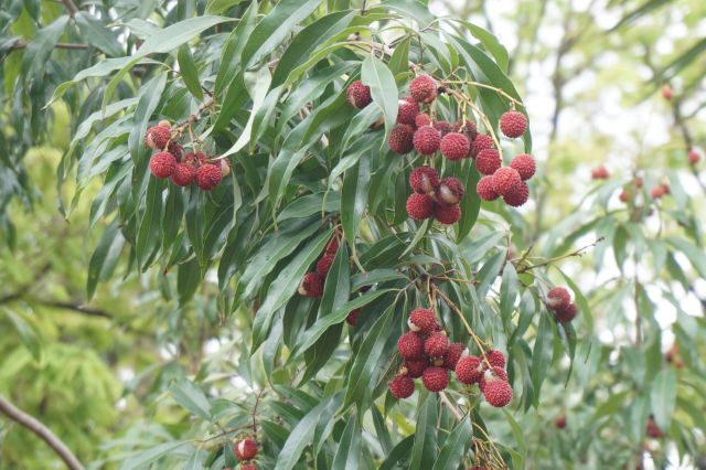 "The old ways of farming ... are no longer reliable."