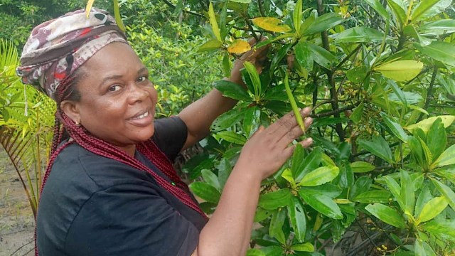 They are making their communities more resilient.