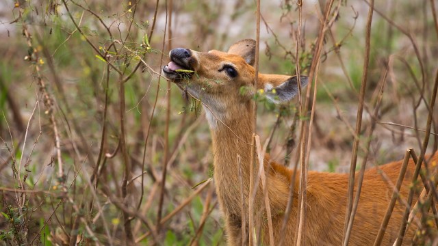 The world is interconnected, and what happens at lower levels eventually makes its way to the top.