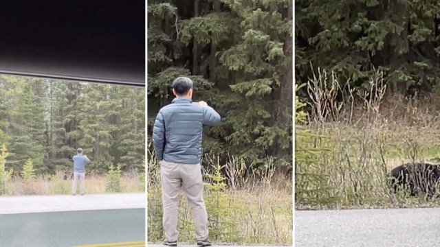 While such a punishment may seem harsh, tourists who creep too close to wildlife for a better view or photo op are blatantly ignoring rules in place to protect both humans and wildlife.