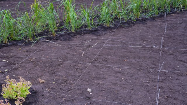 "You're making dreams come true over here!"