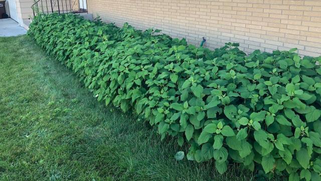 "You should be so proud of yourself!"