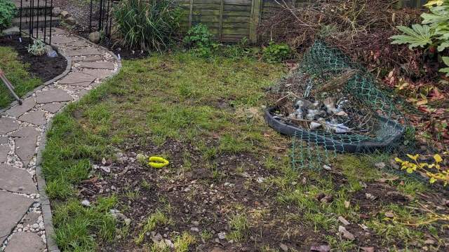 "Beautiful! I love it!"