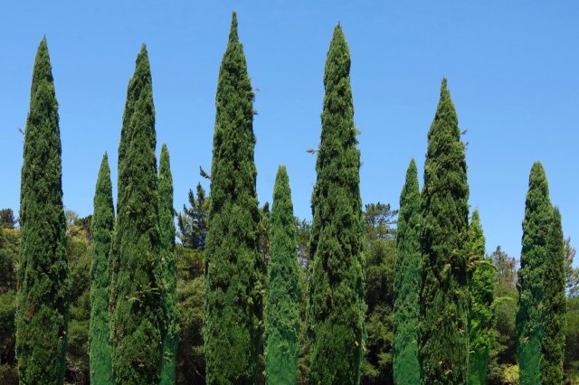 "It happened to me too."