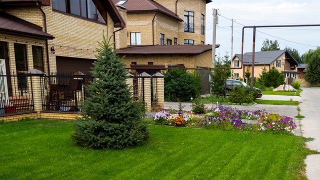 "Keep more than an eye on things, keep a camera on things."