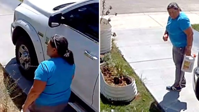 “And I thought I was the only one who had a troubled nightmare neighbor.”