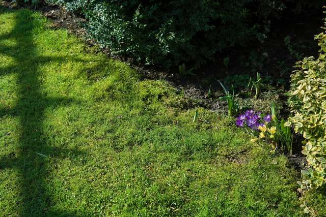 "Every time we're outside working in the front yard our neighbor comes over to 'talk.'"