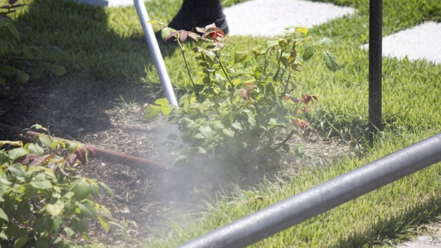 "I would honestly be uncomfortable eating produce from your yard knowing that, no offense."