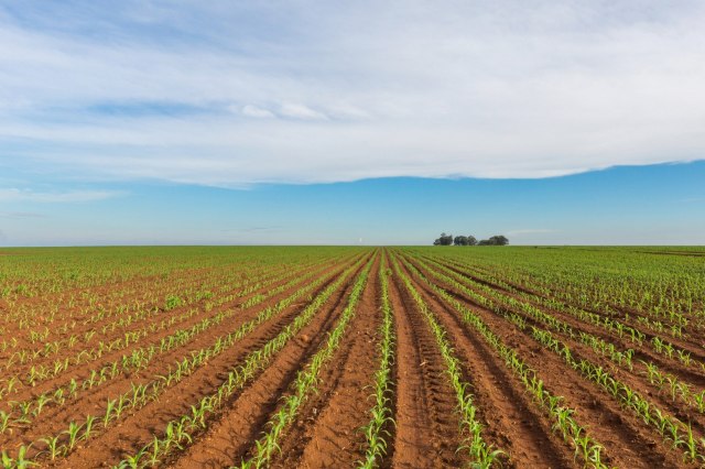 "Believe in the system and don't look for excuses why it won't work—because it can."