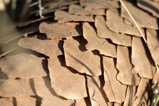 Trafficking does a great deal of damage.