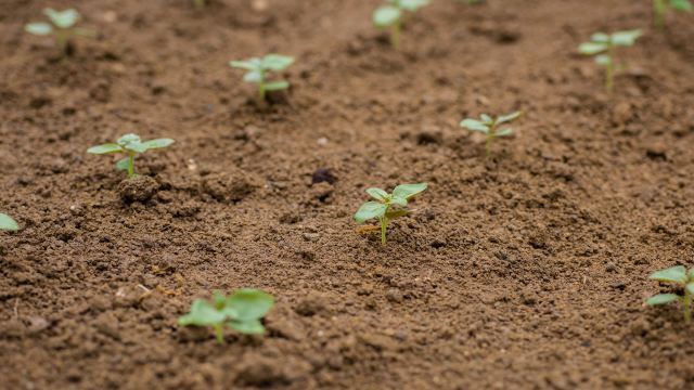 "Finding ways to tackle food insecurity is vital."