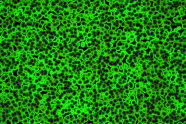 Photo Credit: Depositphotos.com