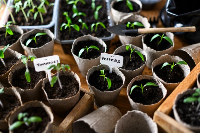 "Is it a lost cause?"