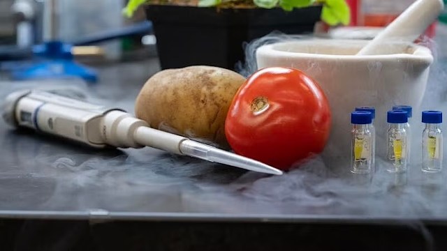 "Plants have evolved ingenious ways."