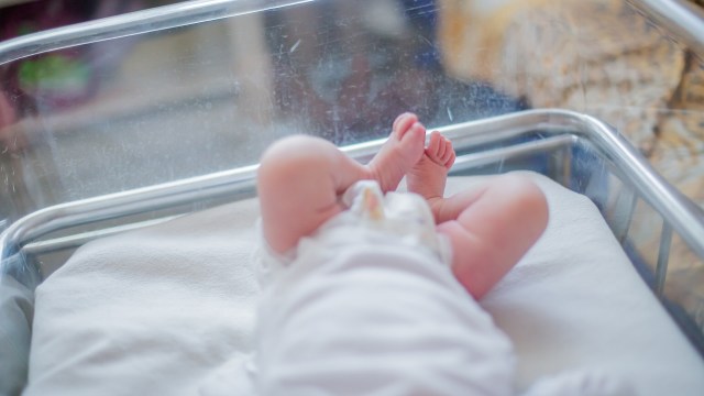 Harmful environmental exposures during pregnancy and early infancy can pose a number of health risks.