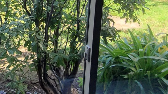 "They shouldn’t have a say."