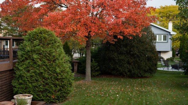 "It’s 'fall' for a reason."