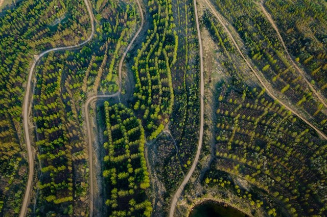 "Ensure that ... we do not inadvertently worsen the biodiversity crisis."