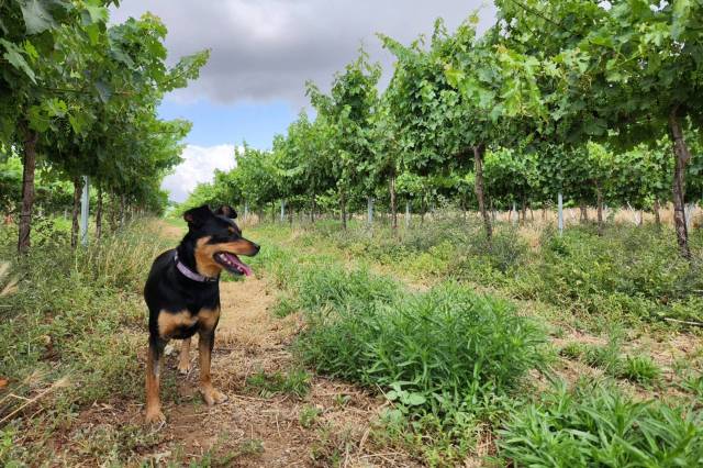 The results were astonishing.