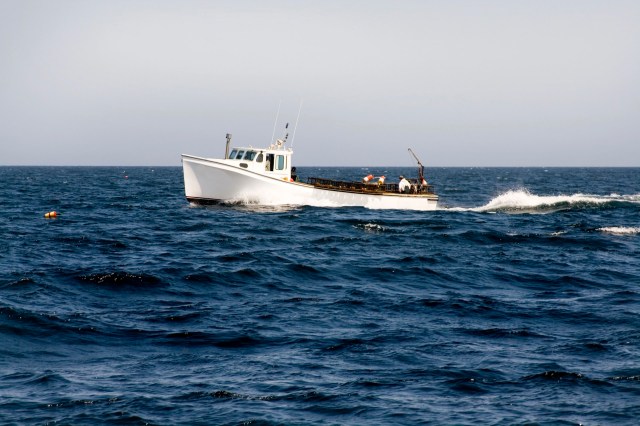 Reversing a lower court’s decision, the Boston-based 1st U.S. Circuit Court of Appeals reinstated the protections.