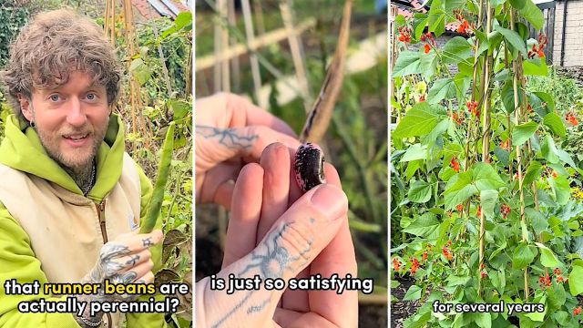 "I am always looking for ways to simplify gardening."