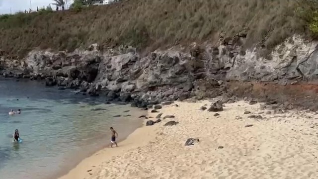 "Really frustrating."