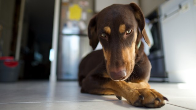 "It's a safety issue that most of us haven't seen before."