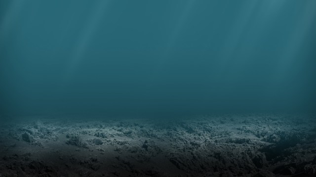 The study identified bright and dark spots.