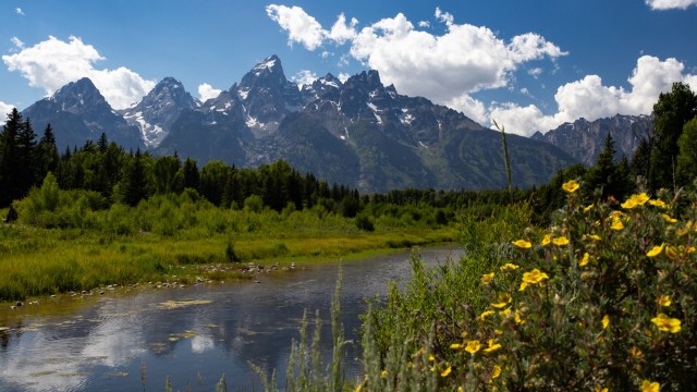 The land is home to grizzly bears, moose, and elk and is covered in sagebrush, shrubs, and trees.