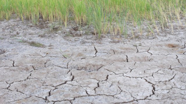 "Even if governments don’t always understand, it’s already here."