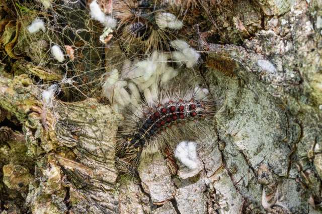 "Our projections were pessimistic, but probably not pessimistic enough."