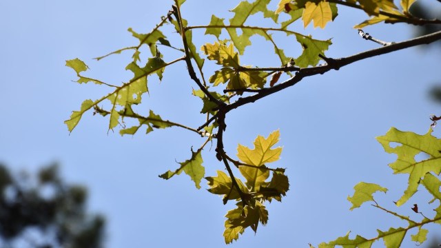 "Our projections were pessimistic, but probably not pessimistic enough."