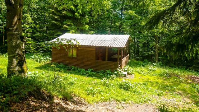 "They want to be able to confidently deal with the power being off for anything from a day up to a week."