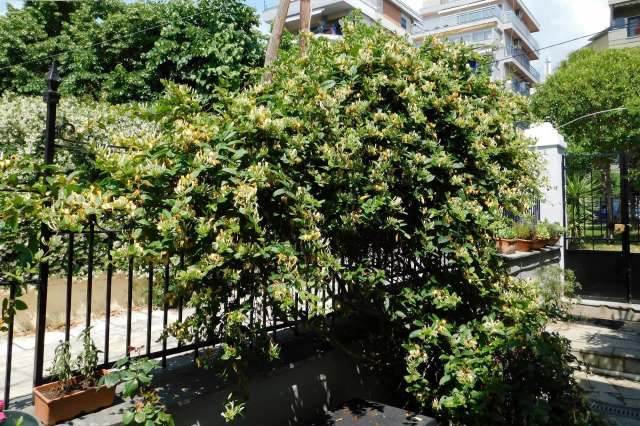 "The individual choices that people make compounds, and what your neighbor does influences you."