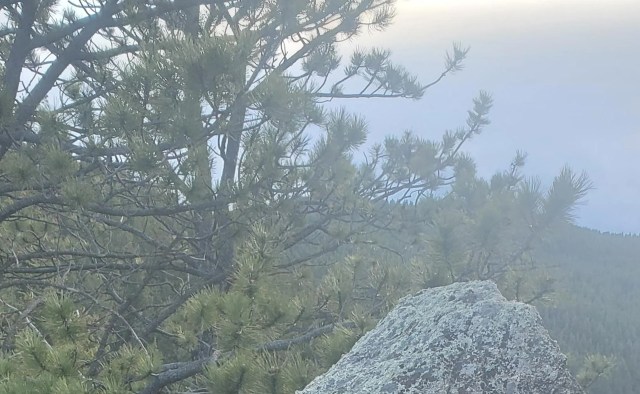 These disturbances have real consequences.